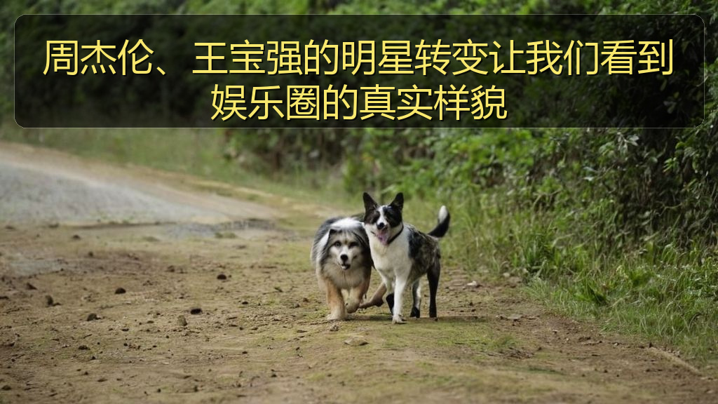 周杰伦、王宝强的明星转变让我们看到娱乐圈的真实样貌
